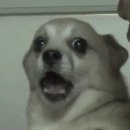 복담복국 이미지