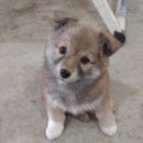 아름다운밀양농장 이미지