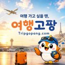 제주도 렌트카 가격비교, 가격만 보지 마세요｜보험·야간인수·새벽반납·완전자차·반려동물 동반 렌트카 까지 한눈에 정리 했습니다. 이미지