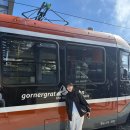 종점할인마트 | 스위스 여행 체르마트 마테호른 전망대 고르너그라트 열차 가격