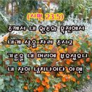 에덴상회 이미지