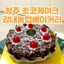 청주 초코케이크 맛집 가성비 훌륭한 강내농협베이커리