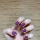 르 베르니(Le vernis)