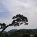 영이 가게 이미지
