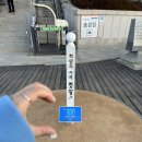 일출로 | 해남땅끝마을 일출보러 여자 혼자 다녀온 후기