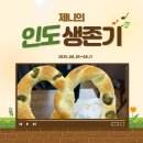 2024.08.05~08.11) 제니의 인도 생존기/전직장 동료(?) 혹은 원수들을 만나다/인도 운전면허 발급 확인...