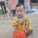 간질 간질 강아지풀 이미지