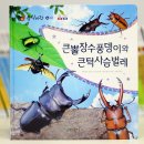 초미사슴 이미지