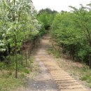 계성중학교 이미지