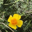 겨울 Big sur 바닷가 여행. 12월 5 - 7 일 25년. 이미지