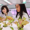 성동농장 이미지