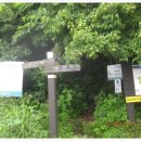 주천면 고촌마을 이미지