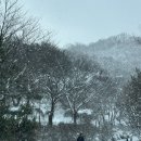 폭설 속 겨울 캠핑, 가족과 함께한 특별한 시간 - 이안숲속 캠핑장