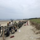 해안사구 이미지