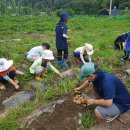 숲속자연유치원 이미지