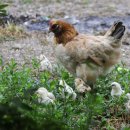 대소마을 이미지