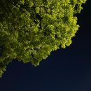 쓸만한 일상 18 : 먹기만 한 일상