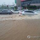 교2동-6 이미지