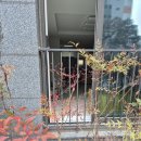 원종어린이집 네이버블로그