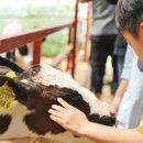 창원목장 이미지