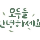 용인대 제일 태권도장 이미지