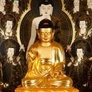 진주 월명암 목조아미타여래좌상 | 보물 제1686호 진주 월명암 목조아미타여래좌상 (晉州 月明庵 木造阿彌陀如來坐像)