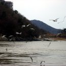 평화
