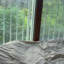 맘스터치감계점 이미지