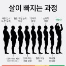 체온다이어트휴