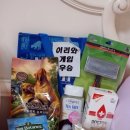 에덴애견훈련소 이미지