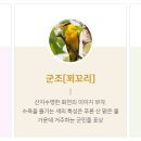 중부-현장-중부-757 | [지명사전] 산천어와 평화의 물길이 흐르는 고을, 화천(華川)의 유래와 역사