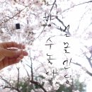 향 수놓다 이미지