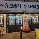 여유돼지부자돼소