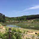 양덕 물빛공원 이미지