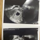 호움산부인과의원 이미지