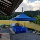 노란담장 이미지