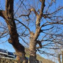 전천회관 이미지