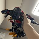 렉스디테일 이미지