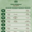 성인요가 | 치앙마이 요가 스튜디오 베이비 2명 키즈 1명 성인 6명 프라이빗 요가 클래스 받은 후기 [abby society...