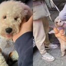 중고이야기 이미지