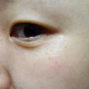 [발효마유 마스크팩 4종 후기] 하루 15분! 진정+수분+탄력+활력개선을 돕는 순한발효팩!