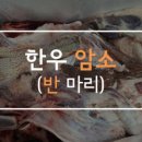금성한우유통 이미지