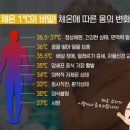 와우점핑다이어트 네이버블로그