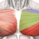 JP PT Studio 이미지