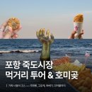 원더풀꽈배기 | [포항] 죽도시장 먹거리 투어 &amp; 호미곶 나들이 | 국화빵, 고로케, 꽈배기, 건어물까지