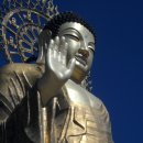 친환경 농산물을사랑하는 사람들 이미지