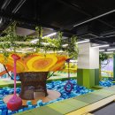 바오밥나무기타 이미지