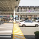 (온택트)속속들이 살펴보는 우리나라 섬 생태환경 | 3월 부산여행 1일차 : 부산현대미술관,을숙도생태공원