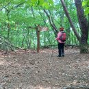 선석산 등산로 이미지