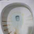 디와이클린 이미지